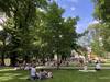 Chillout im Stadtpark zum Gartenträume Picknicktag