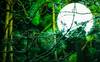 flashlight 3112837 1920 (c) pixabay