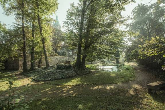 Naumburger Domgarten Blick auf Bäume im Naumburger Domgarten, im Hintergrund ein Domturm