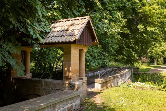 Schlosspark Moritzburg Zeitz Wasserkreuzbrücke 2021 (c) Rene Weimer