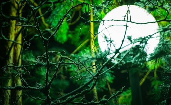 flashlight 3112837 1920 (c) pixabay