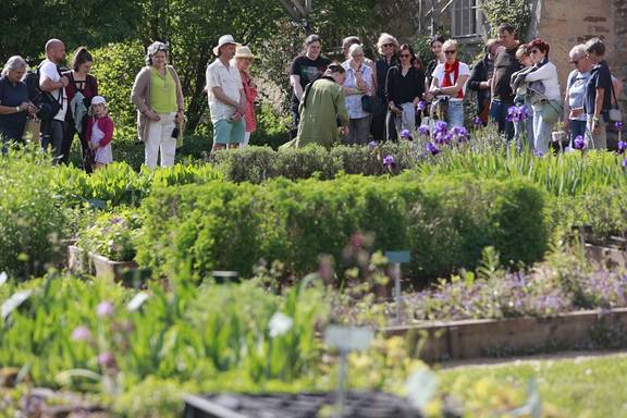 X1A7319.Dreiklang 960x640pix