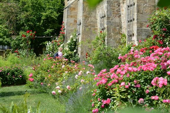 1 Kraeutergarten 0 DSC 0950 SVolk960x640pix