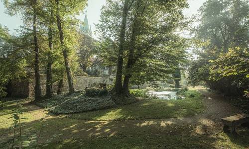 Naumburger Domgarten Blick auf Bäume im Naumburger Domgarten, im Hintergrund ein Domturm