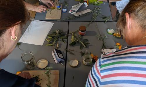 2025 08 0809 gartenseminar PXL 20240817 102137092 SabineVOLK