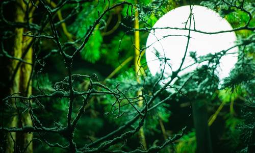 flashlight 3112837 1920 (c) pixabay