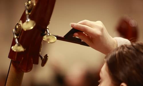 2026 04 02 AK JRP Streicher ©kst 960x640pix