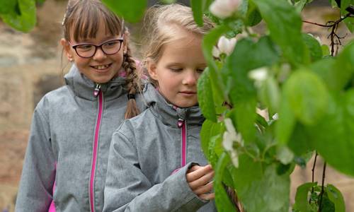 Garten (c)Vereinigte Domstifter Falko Matte